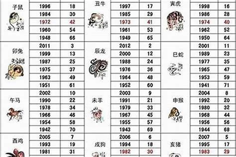 1964属什么|1964年1月出生属什么生肖